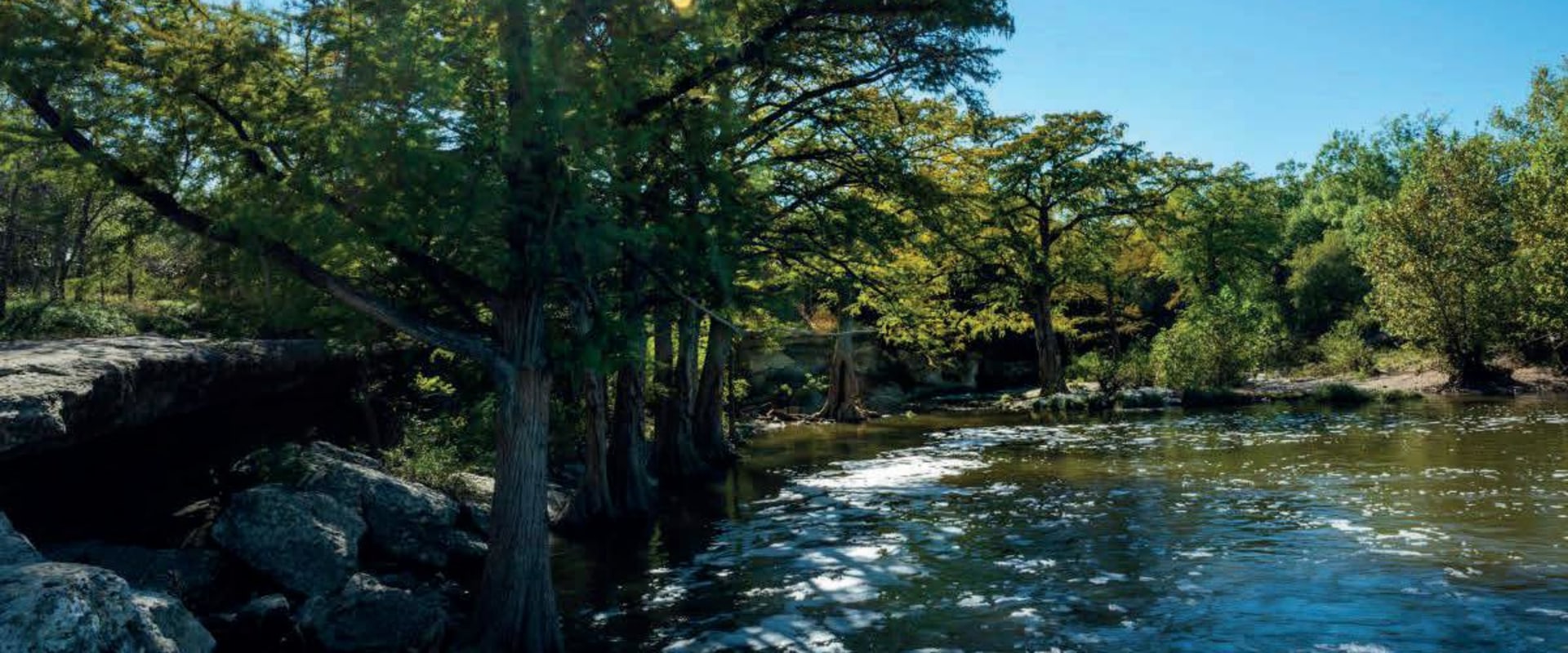 Discovering the Hidden Beauty of the Eco Park in Comal County, TX
